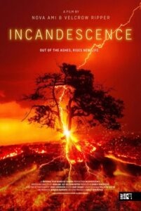 Incandescence Film Poster, tree hit by lightening and on fire