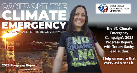 Read more about the article The BC Climate Emergency Campaign 2025 Progress Report – We urge you to meet with your MLA