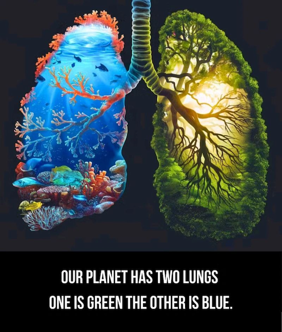 Drawing of two lungs - one is blue with ocean theme and one is green with forest theme