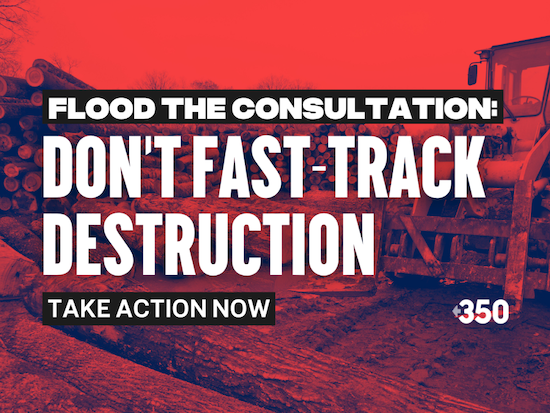 Don't fast-track destruction