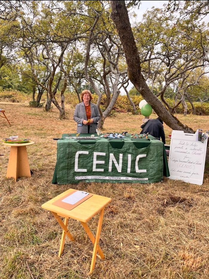 A woman standing behind a table at an event outside in a park