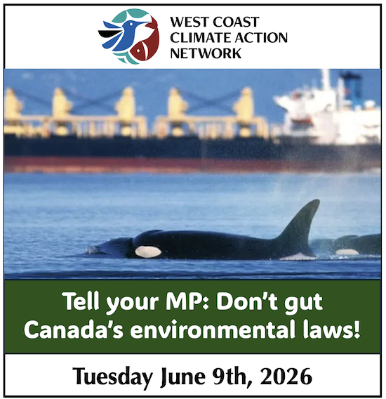 Newsletter image: An orca by a large tanker