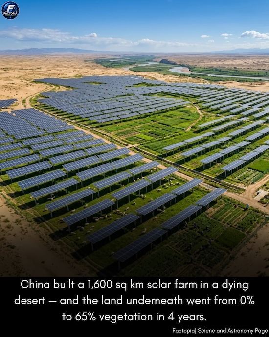 A massive solar panel installation in China