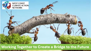 Ants working together to move a large stick