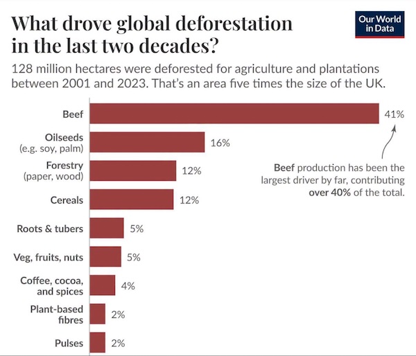 Beef makes up 41% of global deforestation rates between 2001 and 2023