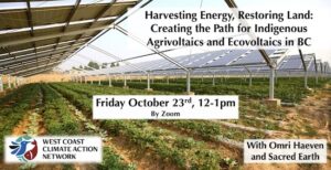 Solar panels over large garden