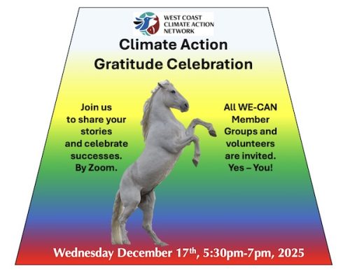 A white horse standing on its back legs